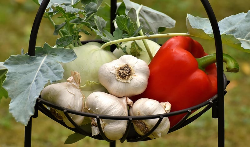 Radishes